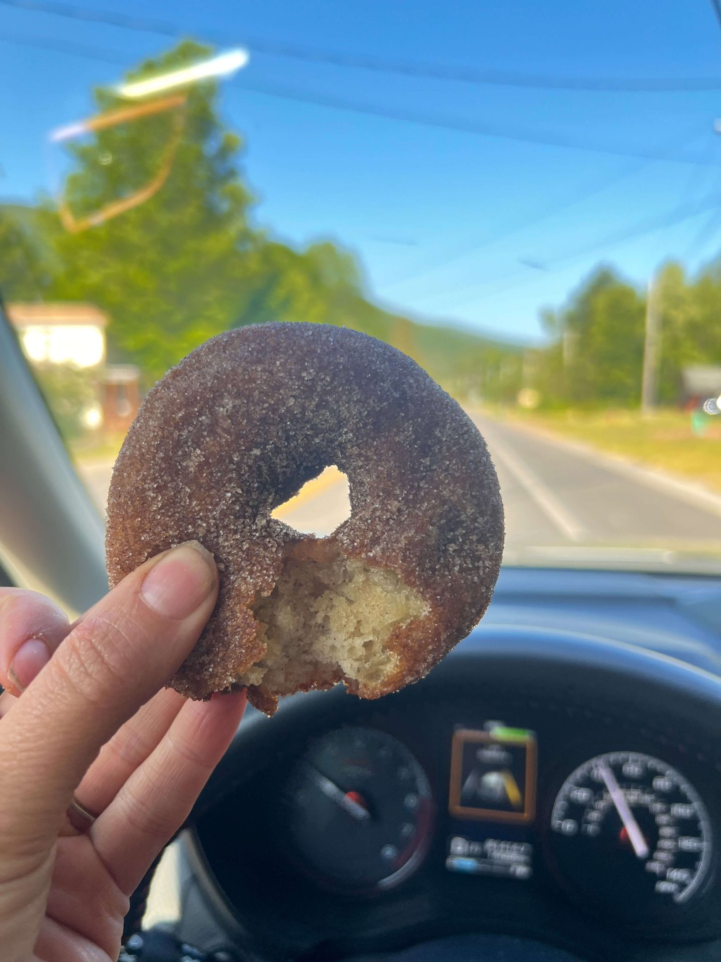 donut shop tannersville new york