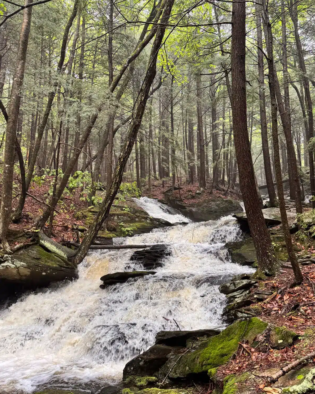 raging waterfall at mcclennan reservation in the berkshires in massachusetts.