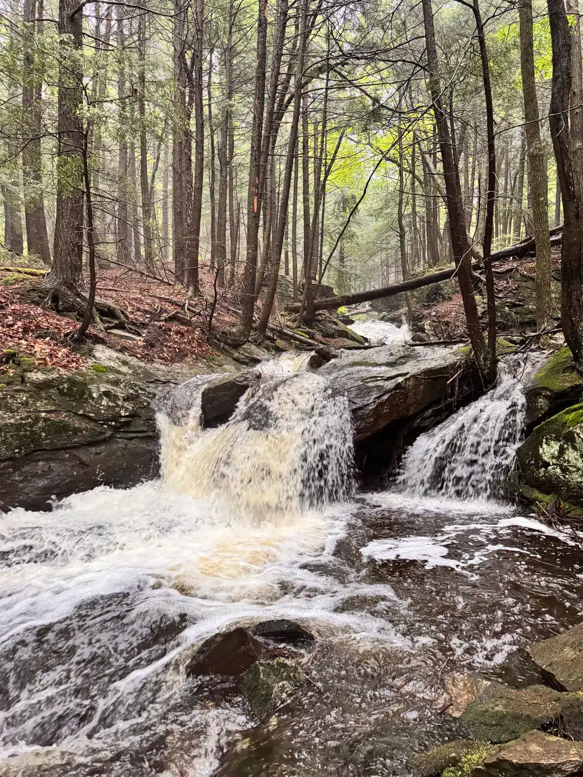 raging waterfall at mcclennan reservation in Tyringham, massachusetts.