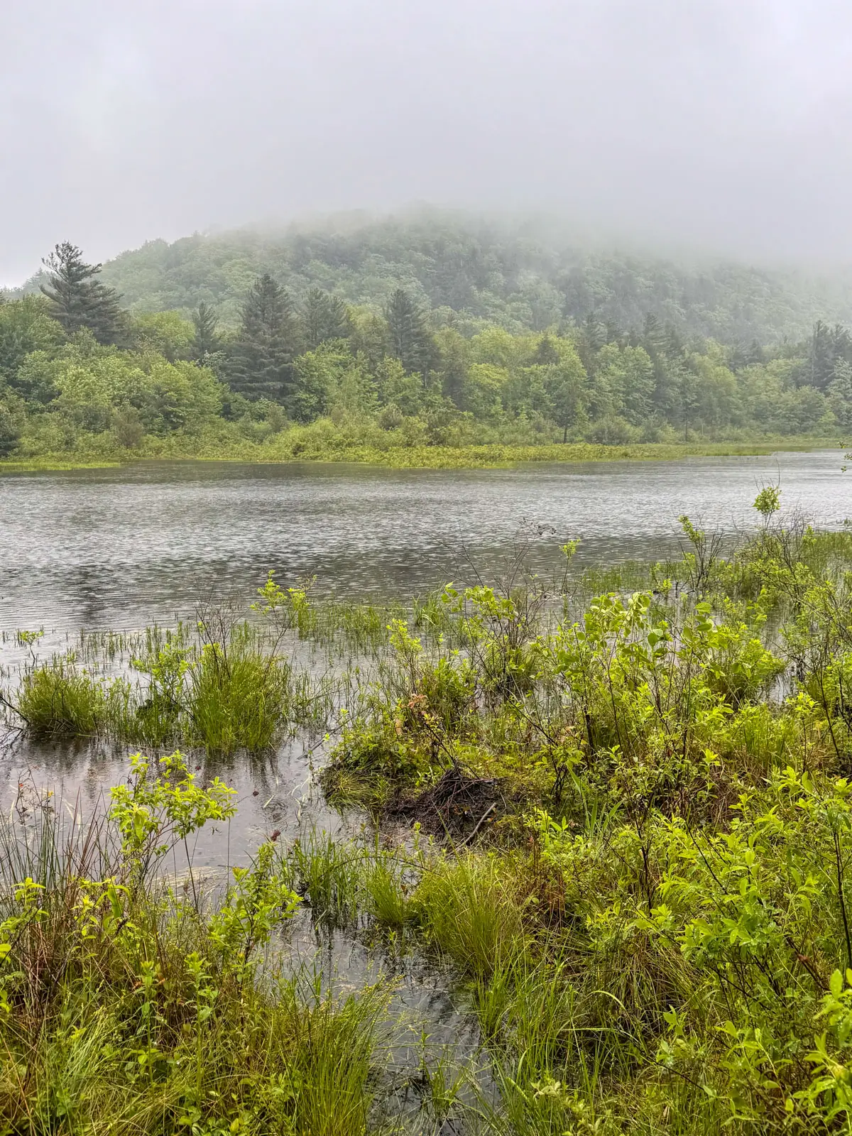 view from hale pond in tyringham, massachusetts with view of water and spring green trees on a rainy day with fog.