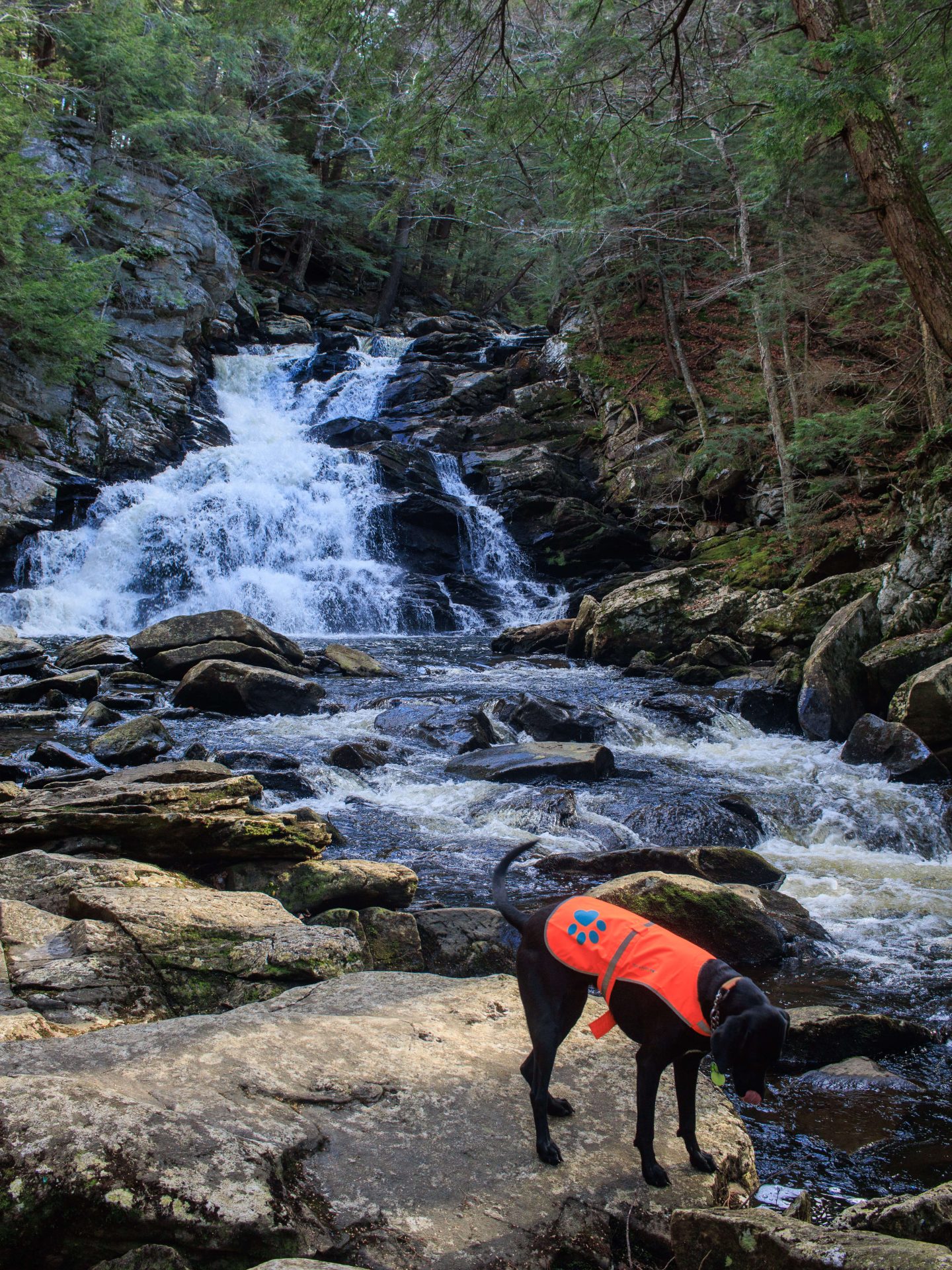 wahconah falls in winter in berkshires