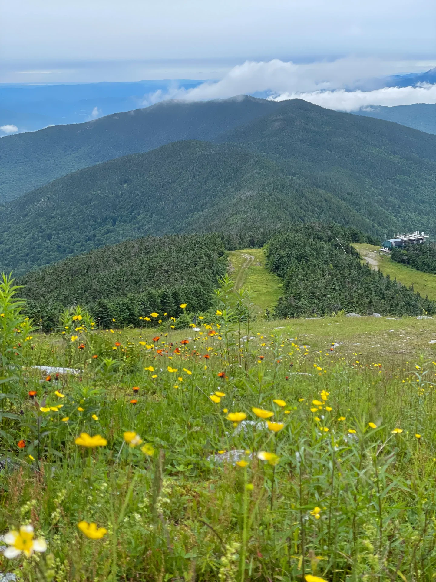 green summer views from mount ellen in vermont