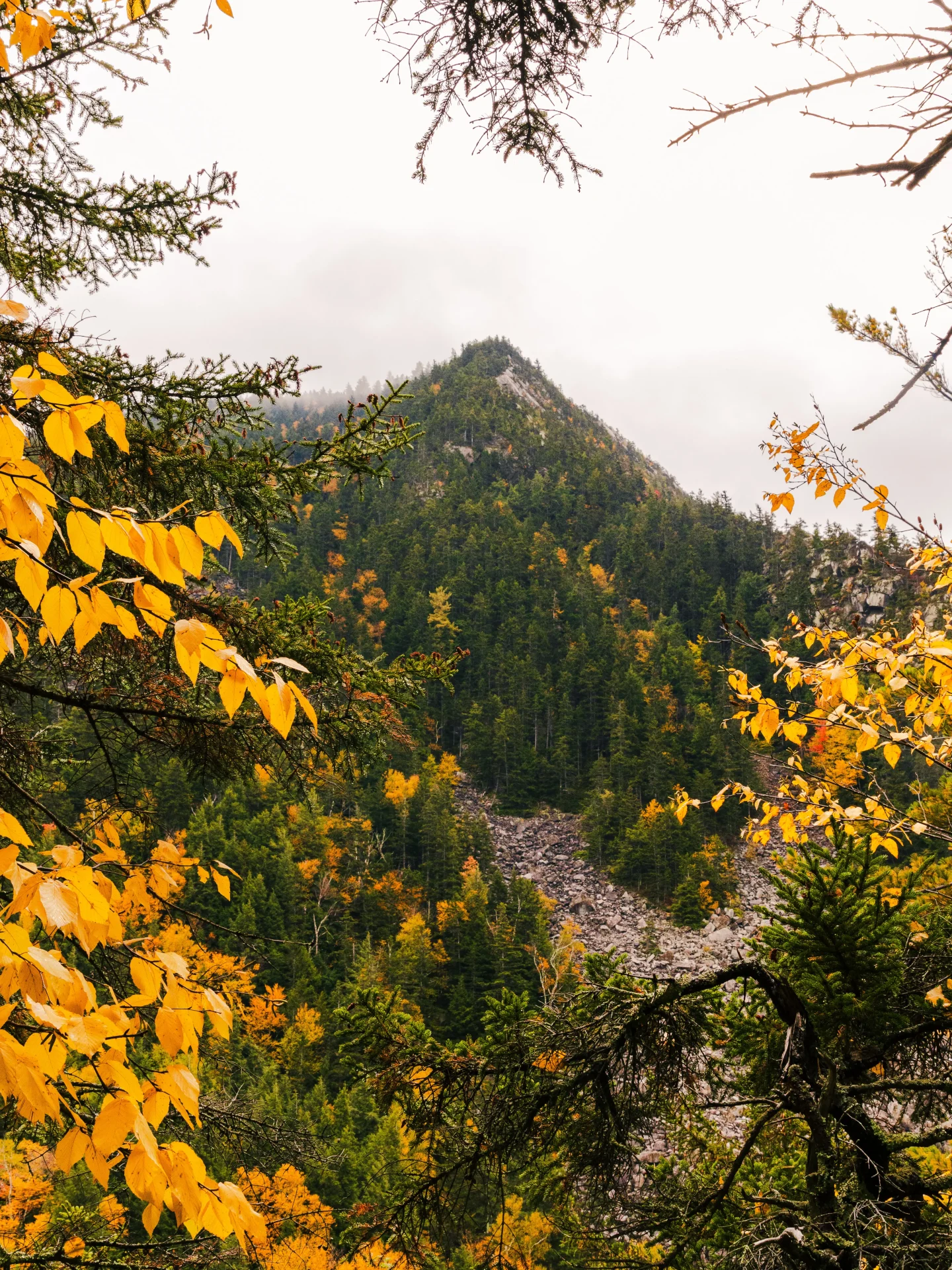 best views in vermont in the fall