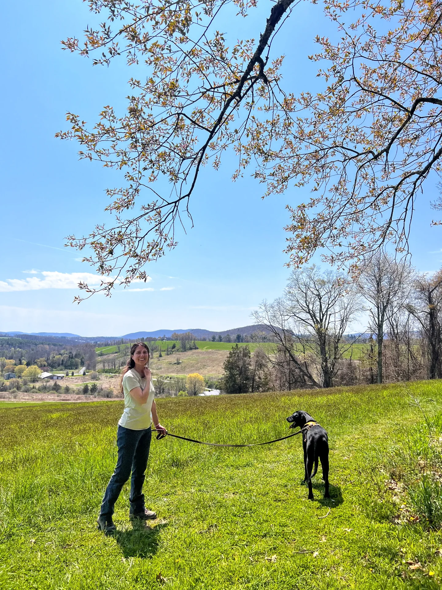 woman and black dog on a hike in spring in sharon connecticut