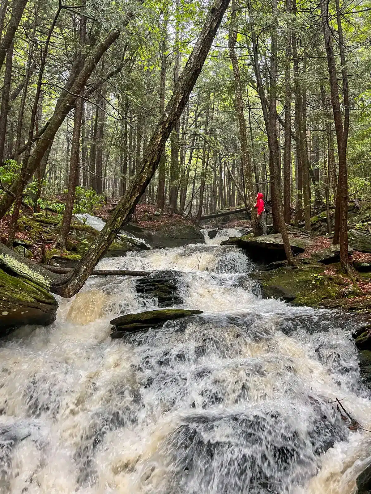 woman in bright red rain jacket standing alongside raging waterfall at mcclennan reservation in the berkshires
