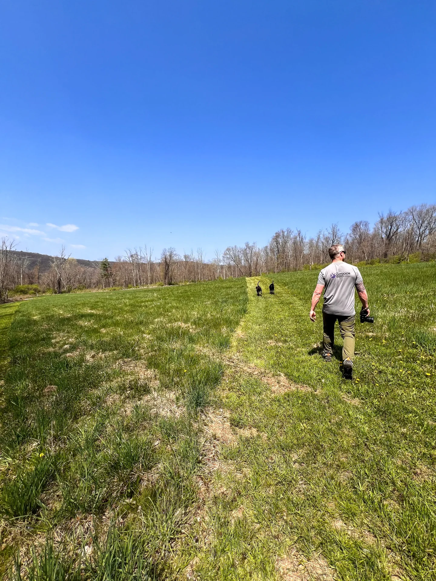 man hiking with dogs on a green spring day at benton hill preserve in sharon ct