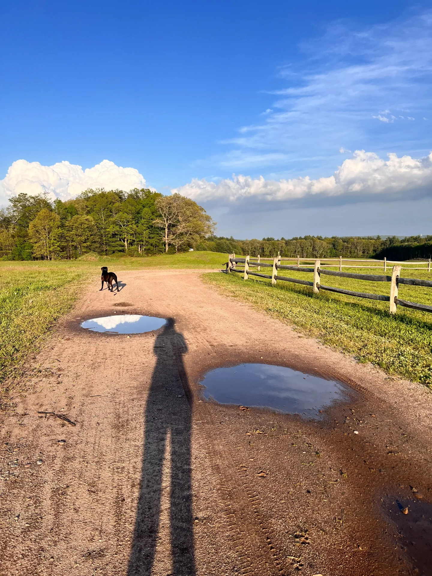 hiking trails at golden hour at tulmeadow farm in simsbury connecticut