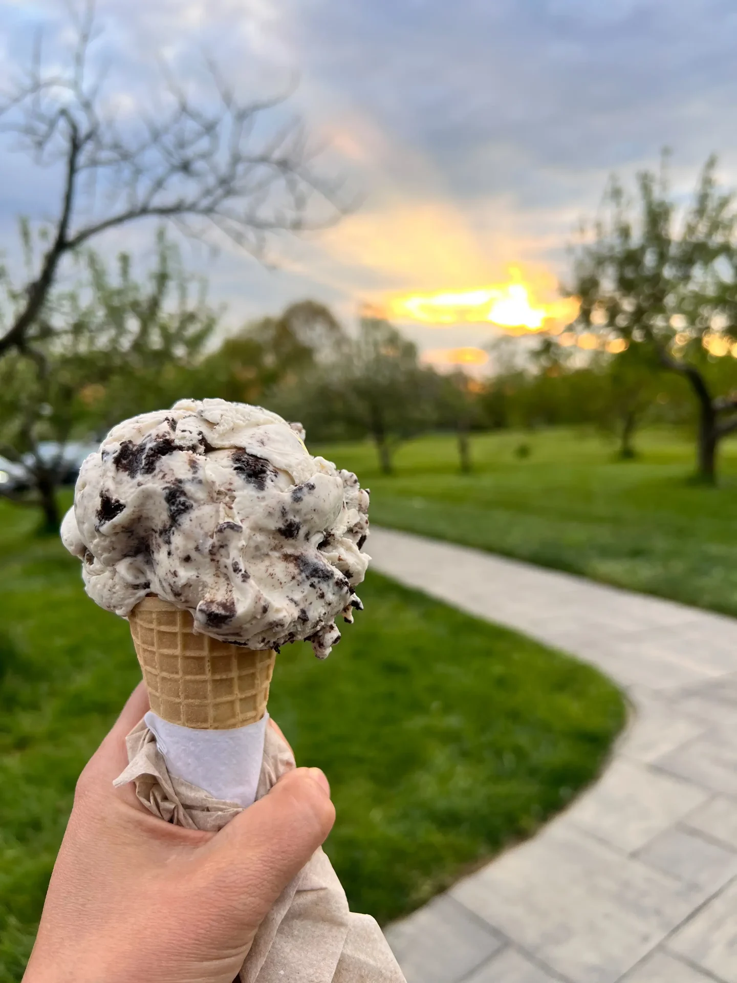 rich farms ice cream in bristol