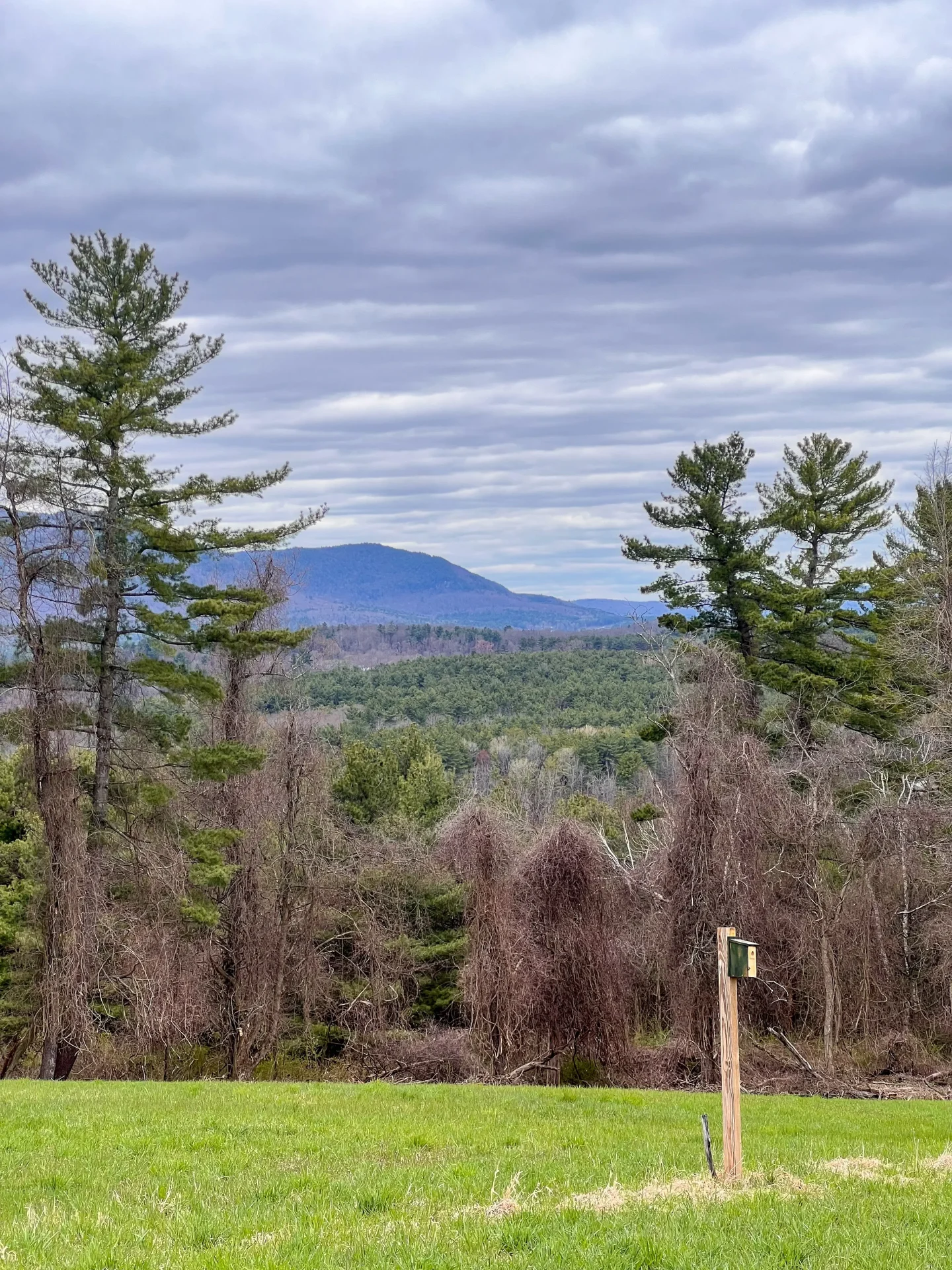 Bartholomew’s Cobble - A Hidden (Must-Do) Berkshire Hike!