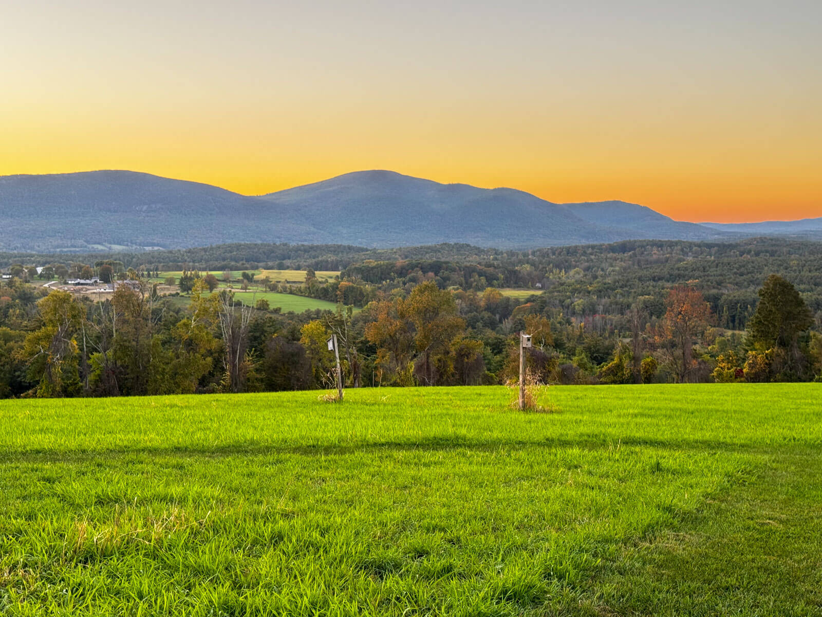 top of a hill of green grass looking out over bartholomews cobble.