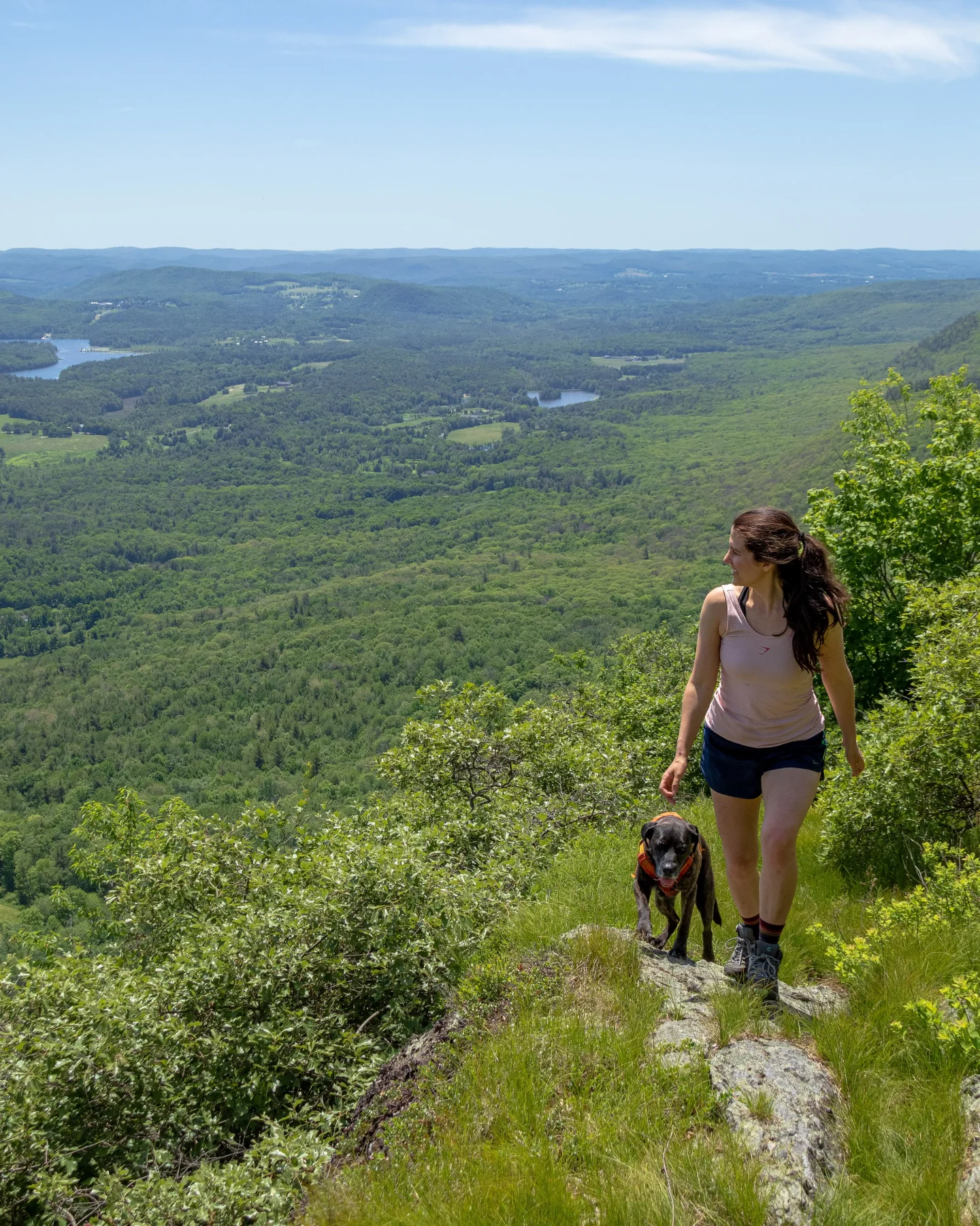 woman in pink tank top and shots with dog in summer on mountain top with green hills and view behind them in massachusetts on mount race