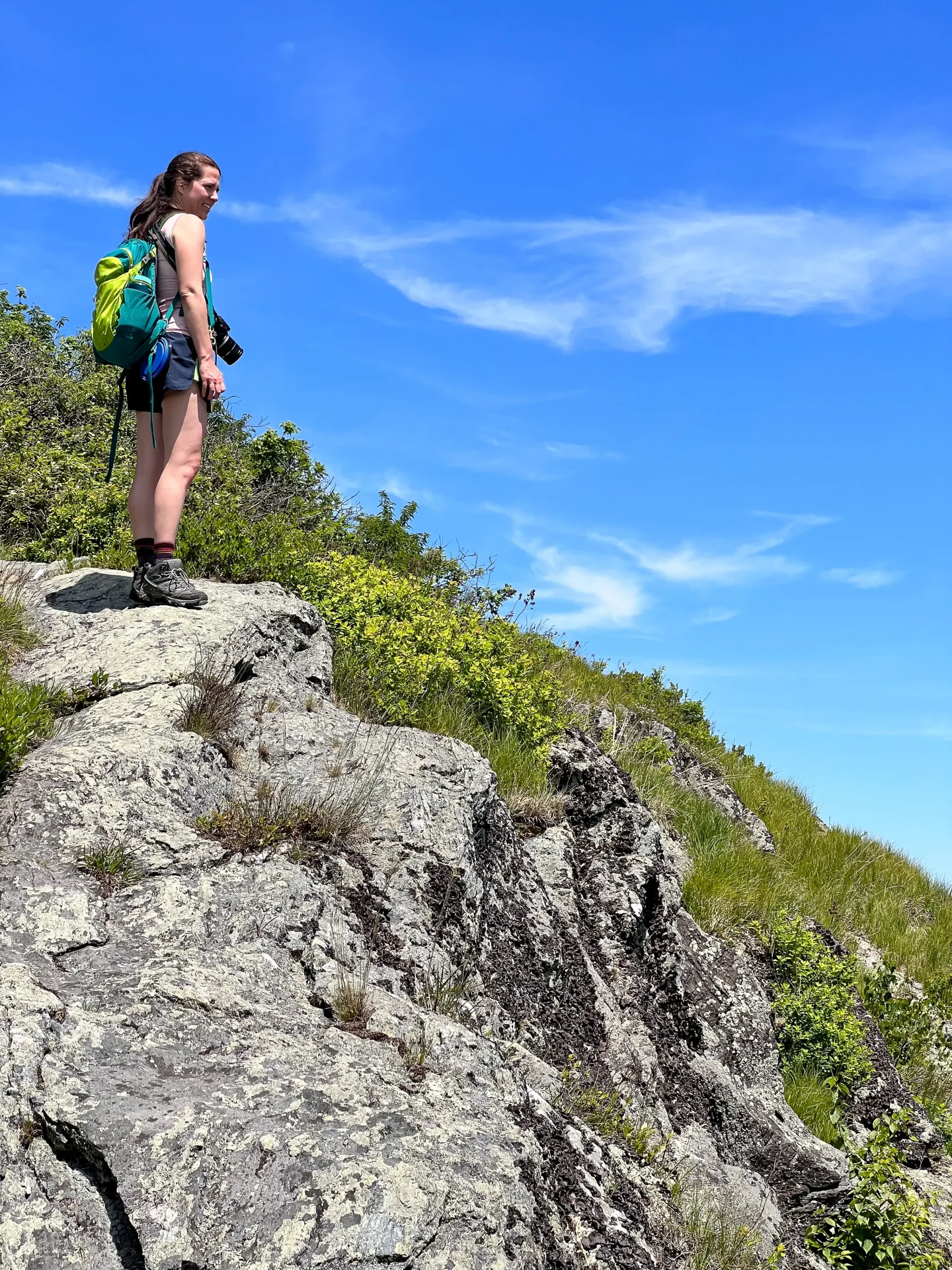 woman in pink tank top and shots with dog in summer on mountain top with green hills and view behind them in massachusetts on mount race