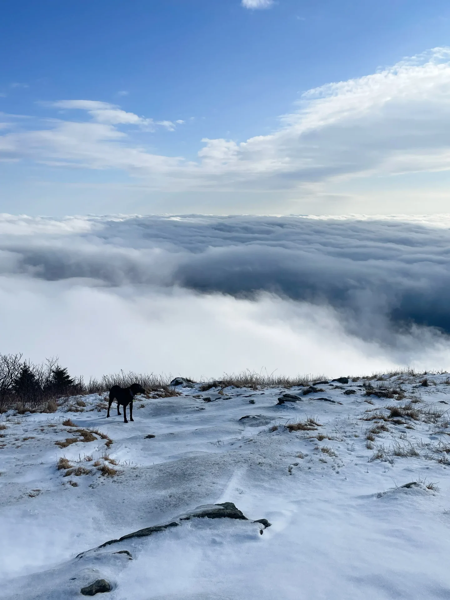 best hike in new england at mount greylock in massachusetts