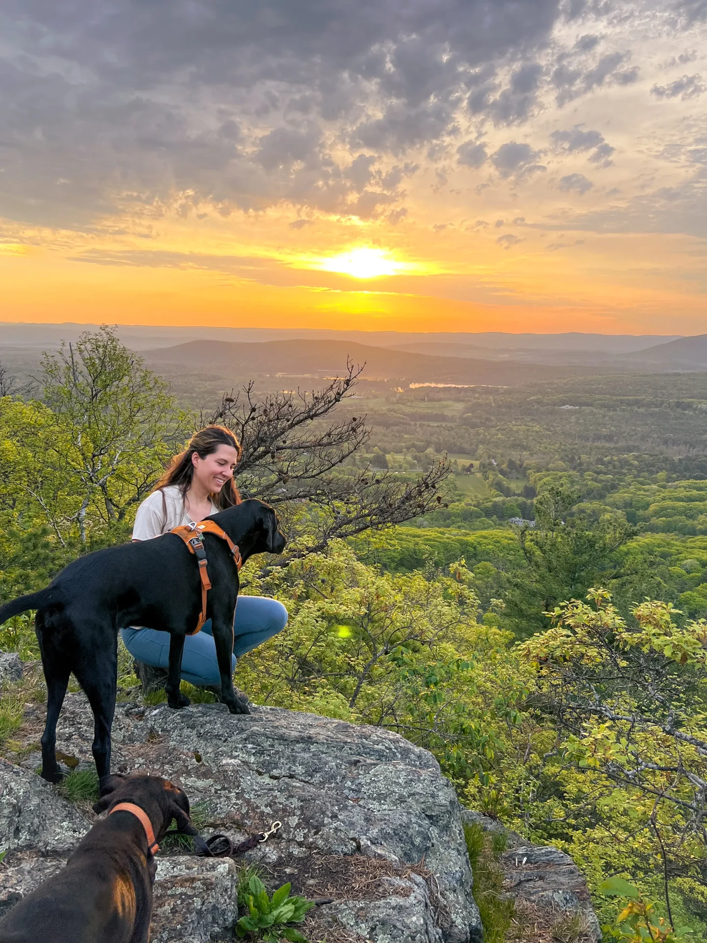 woman and black dog on top of hike in salisbury ct at sunrise with golden sun in sky and green trees