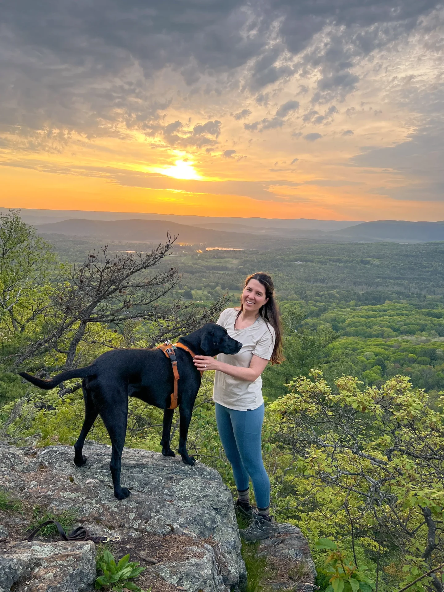 woman and black dog on top of hike in salisbury ct at sunrise with golden sun in sky and green trees