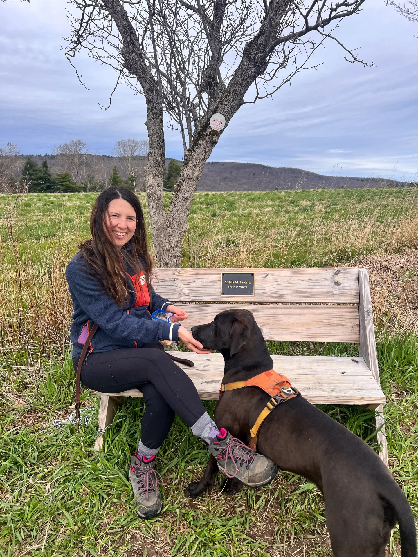 woman sitting on bench at twin oaks land trust sharon connecticut in spring