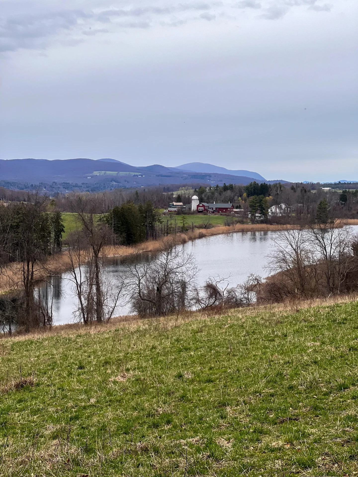 view at mary moore preserve in spring in sharon connecticut