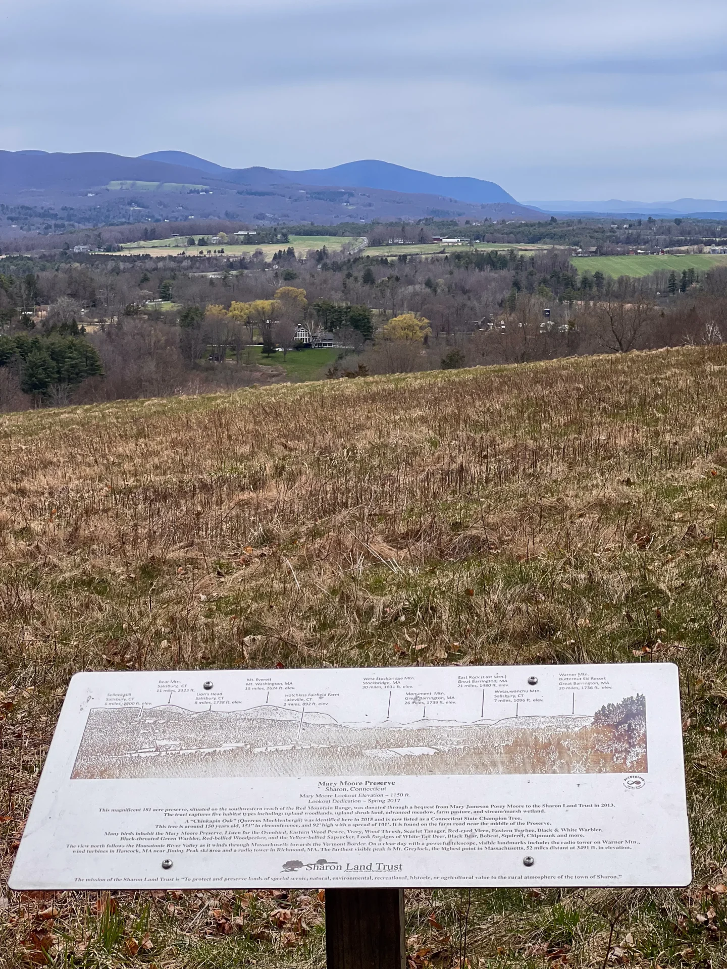 view from an open field at view at mary moore preserve in spring in sharon connecticut