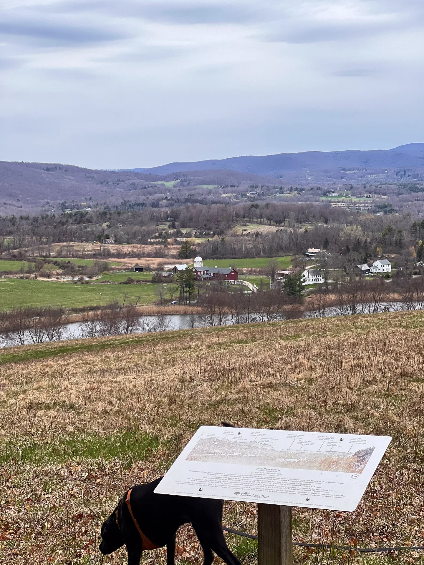 view at mary moore preserve in spring in sharon connecticut