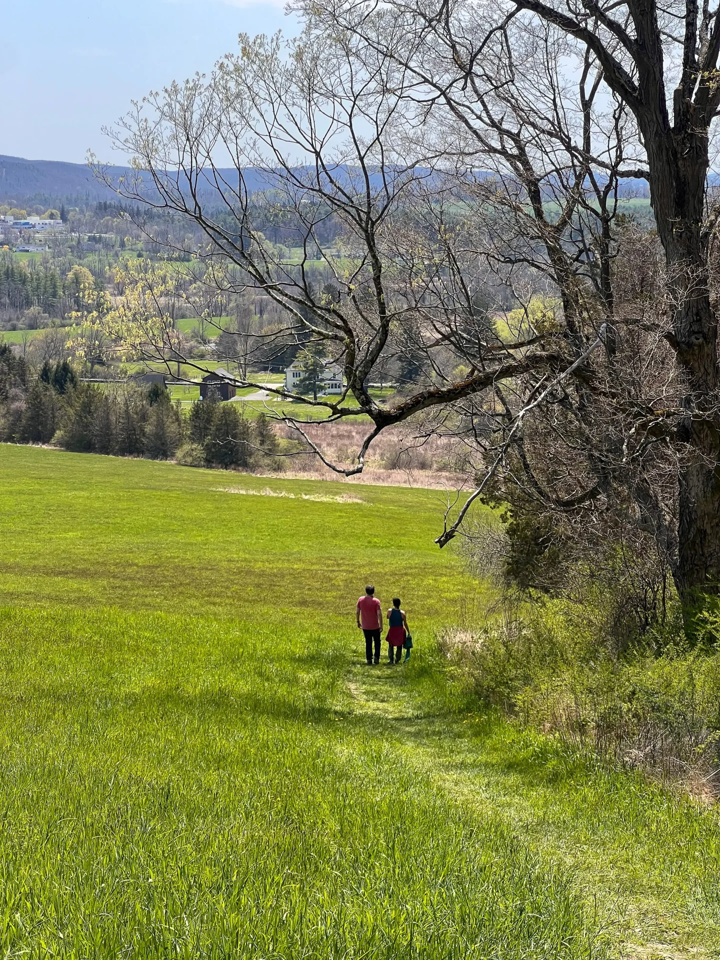 two people walking in distance on green grass in spring at garrett goodbody land trust in sharon connecticut