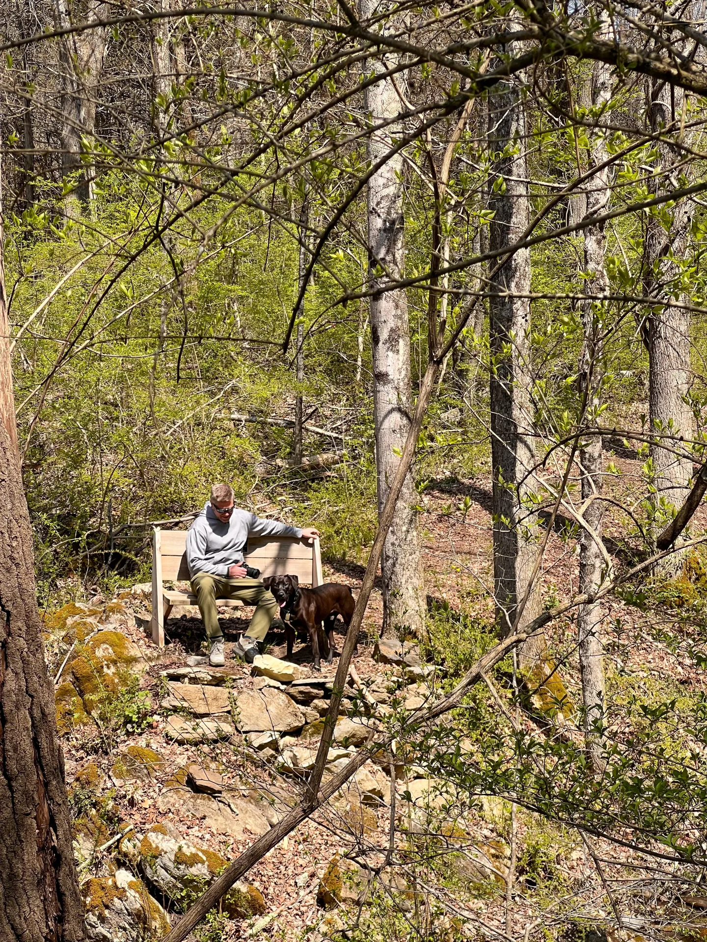 man and dog on bench in woods at benton hill preserve in sharon connecticut