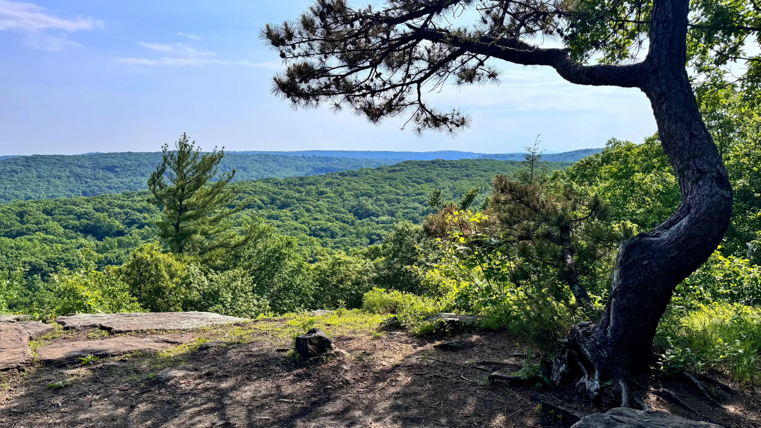 hemlock hills pine mountain in ridgefield with green mountains and trees in backyard