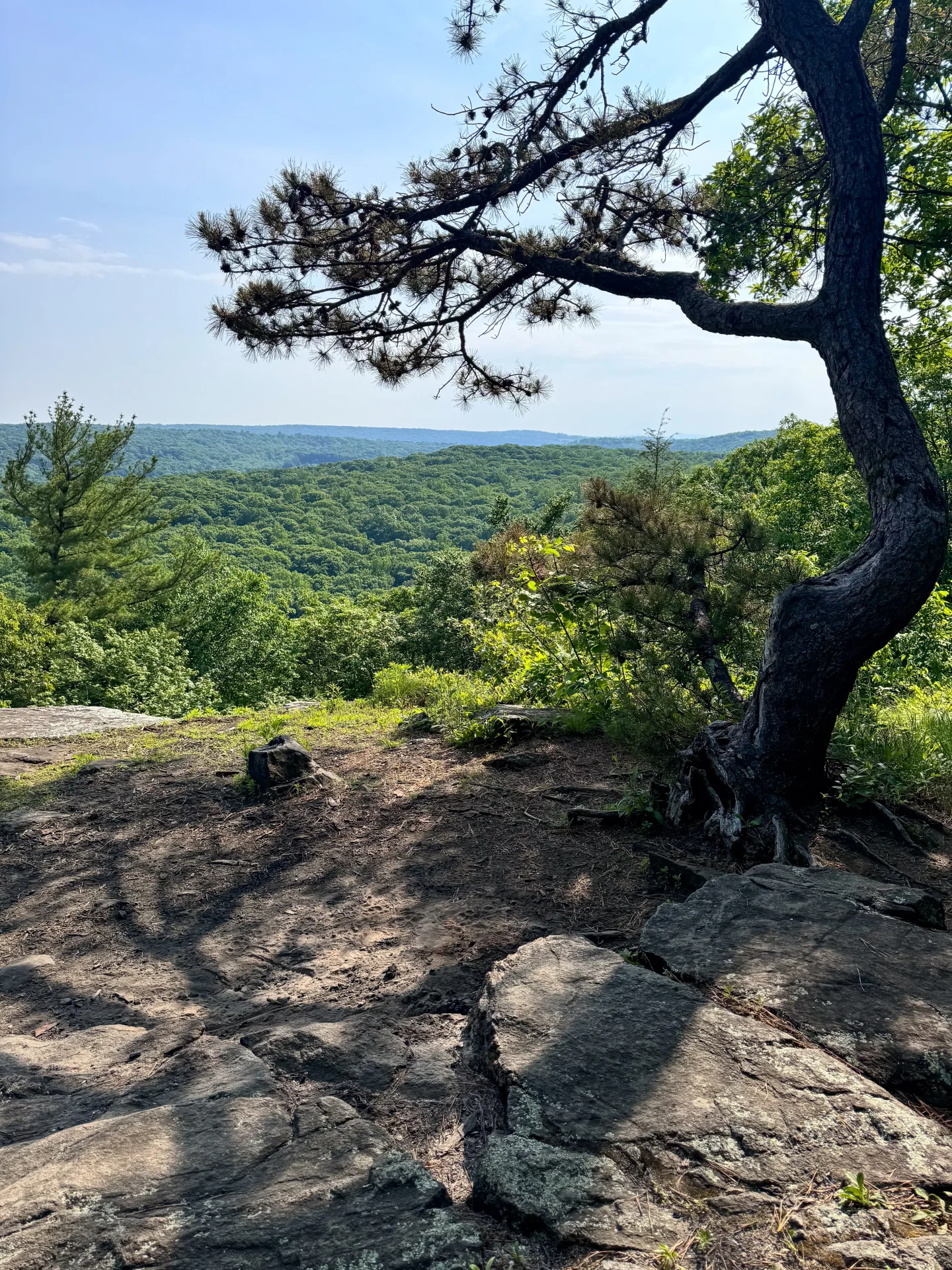 hemlock hills pine mountain in ridgefield with green mountains and trees in backyard