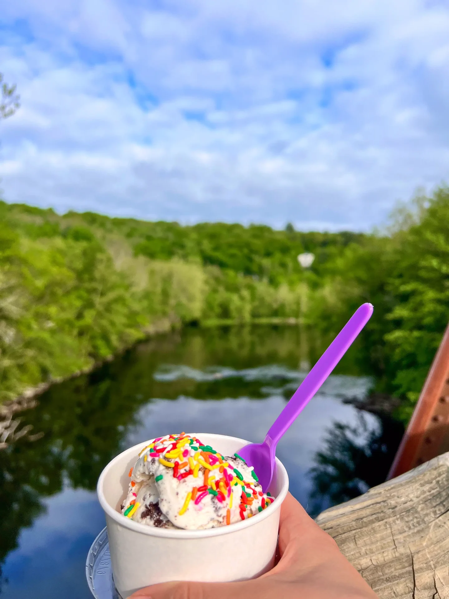 vanilla ice cream cup with rainbow sprinkles with the farmington river in the background