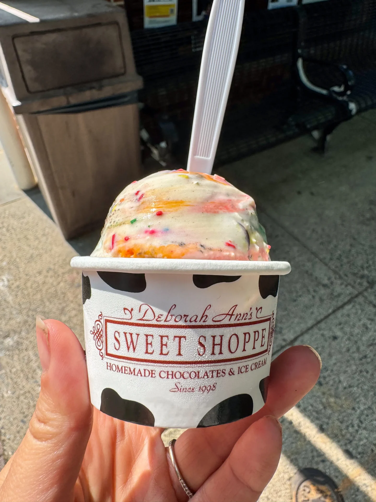 small vanilla ice cream cup at deborah anns ice cream in ridgefield connecticut