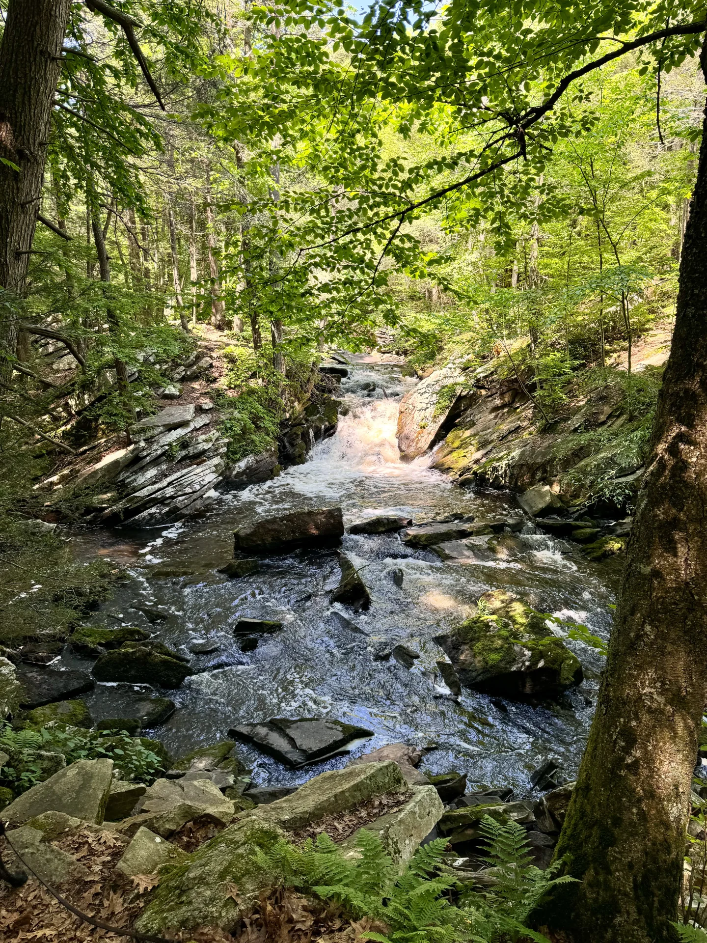 saugatuck falls in ct