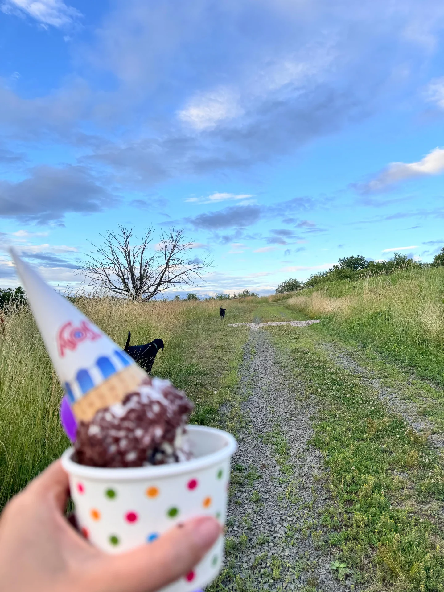 summer walk up auerfarm trail in bloomfield connecticut