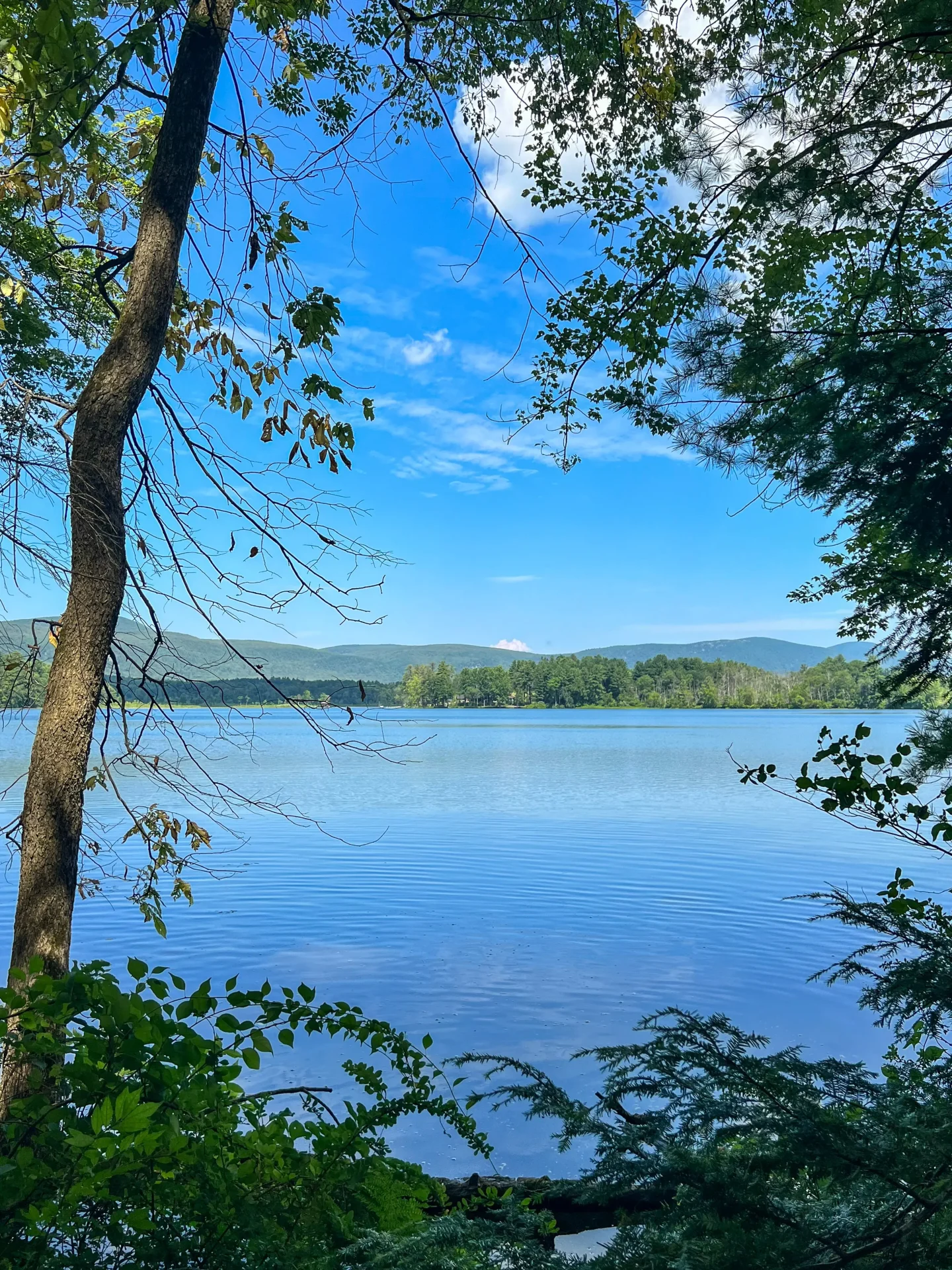 view of twin lakes in salisbury in summer with blue water and green trees