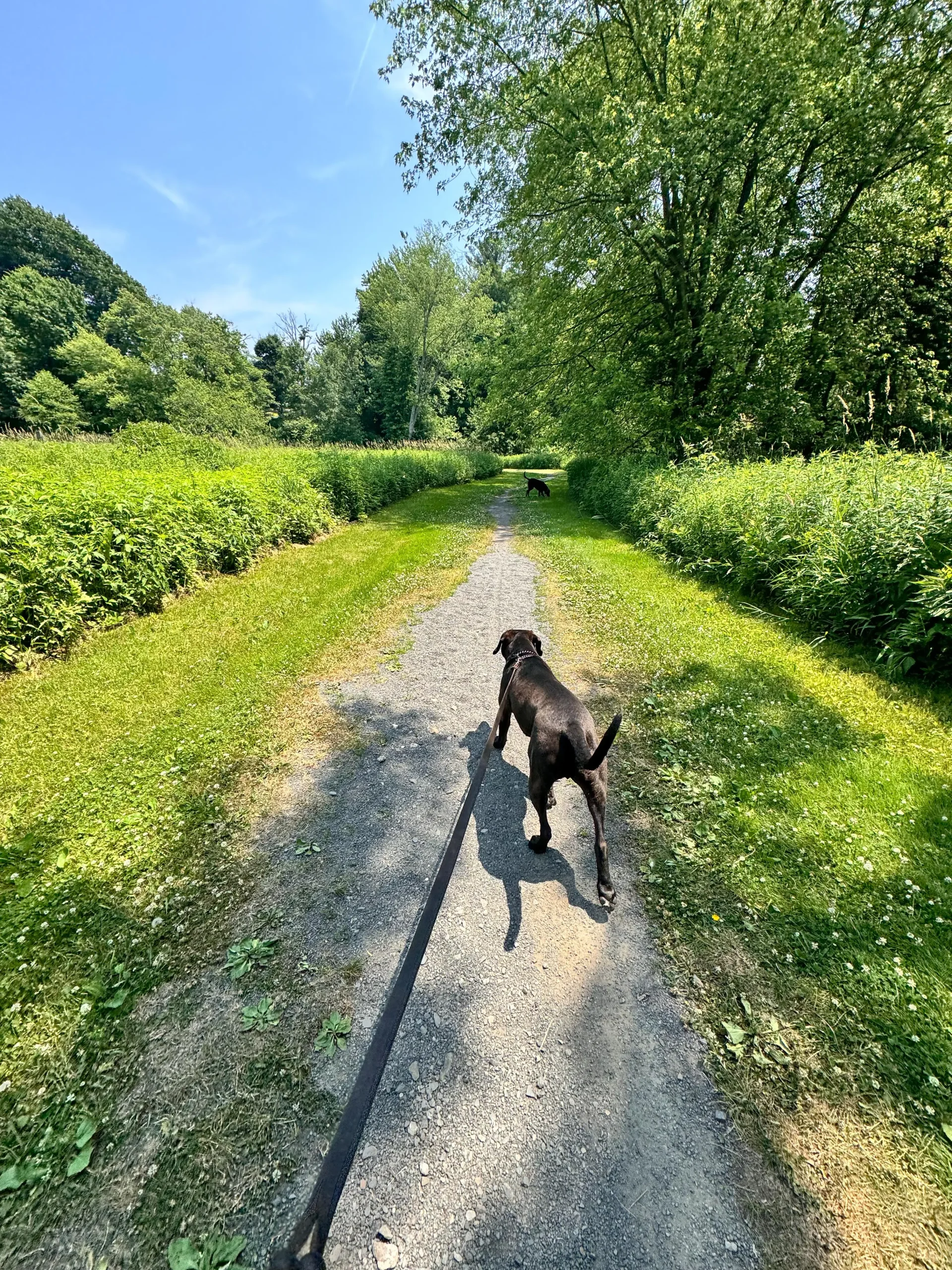 Easy Walks & Hikes in CT: Paved Paths to Forest Trails