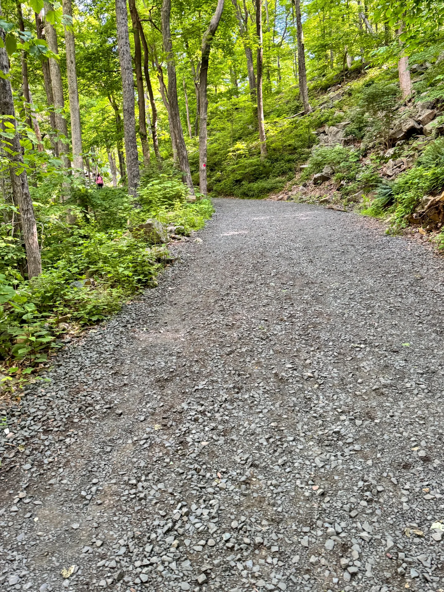 wide gravel path going up sleeping giant trail in hamden connecticut