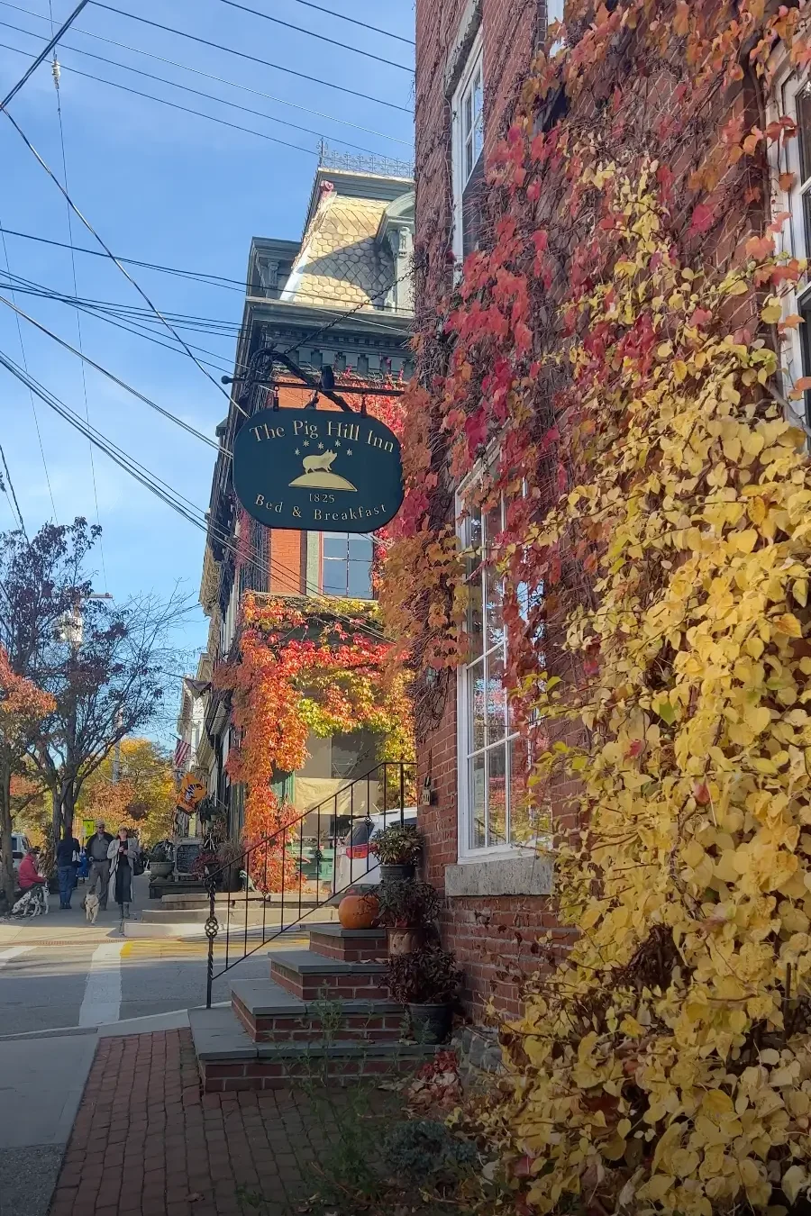 downtown cold spring in the fall with a brick building and golden leaves