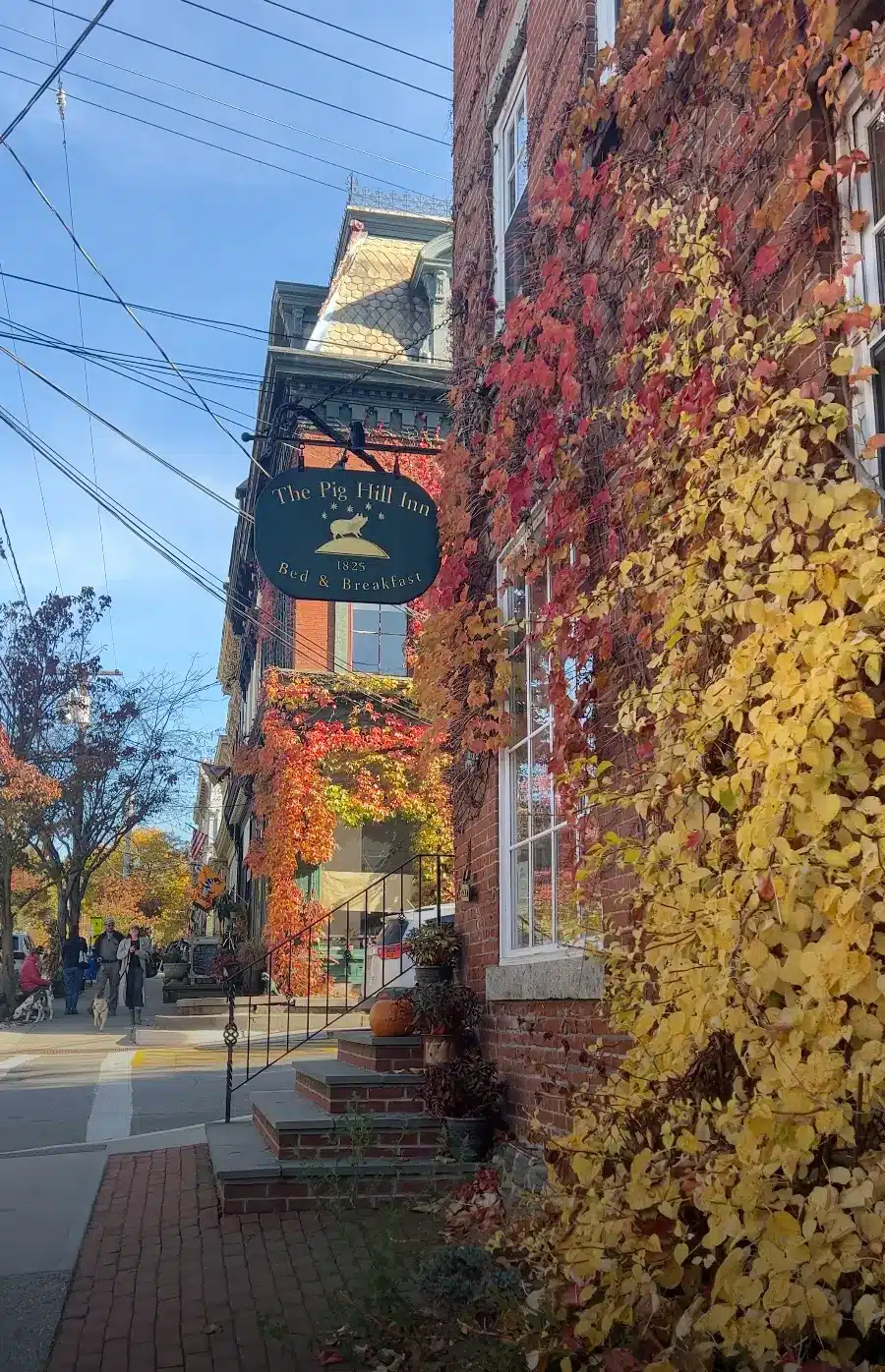 downtown cold spring in the fall with a brick building and golden leaves