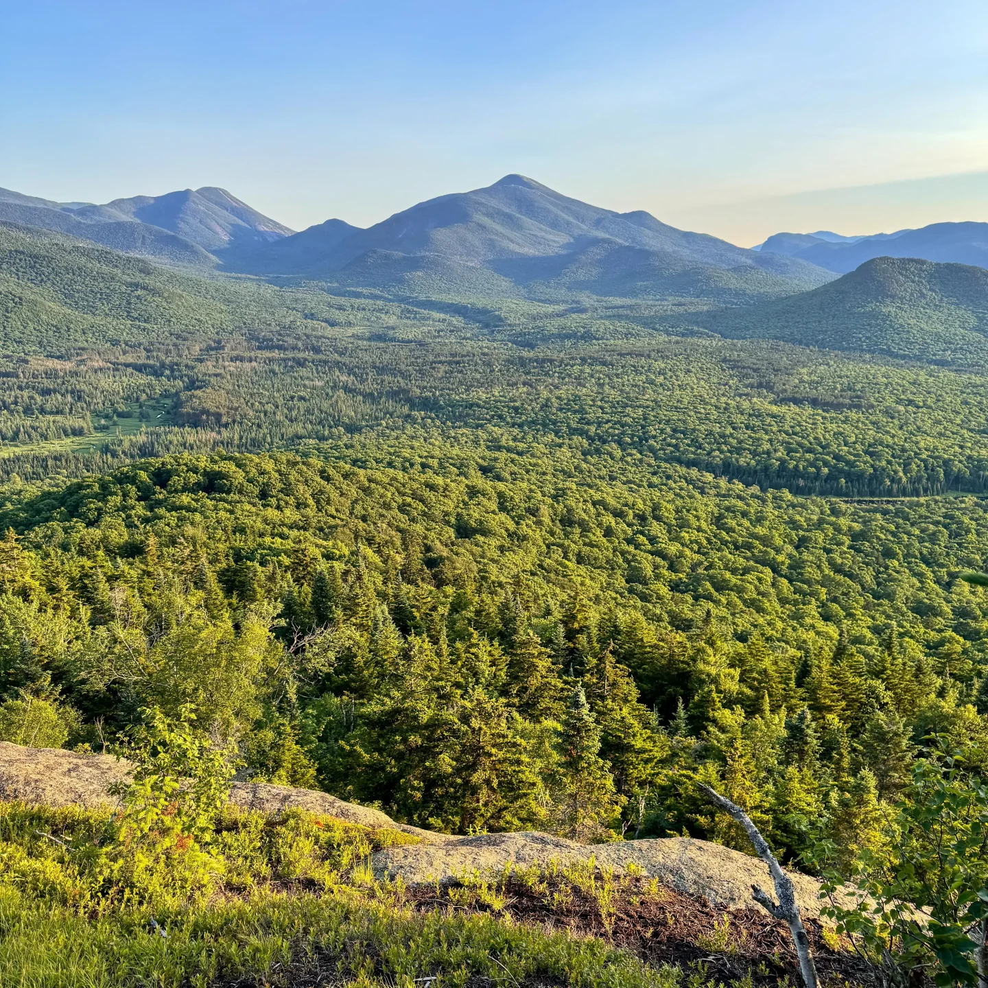 view of the high peaks from top of mountain summit in lake placid with green mountains and trees in the distance and a golden sky at sunset in summer