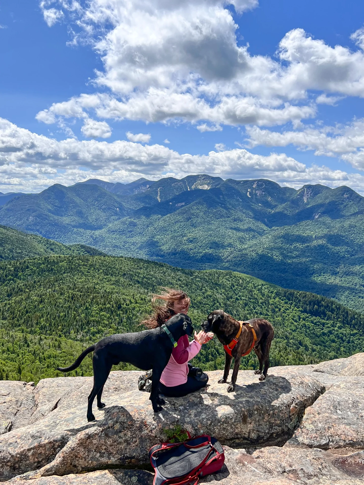 Good dog hikes near me best sale