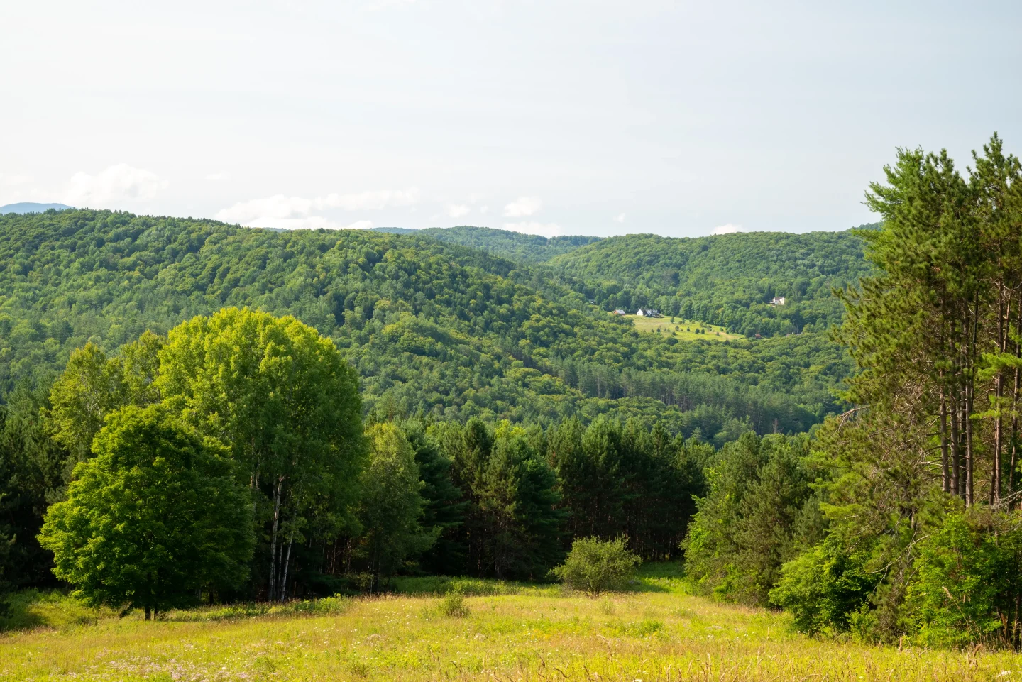 green mountain view from king farm trail in vermont