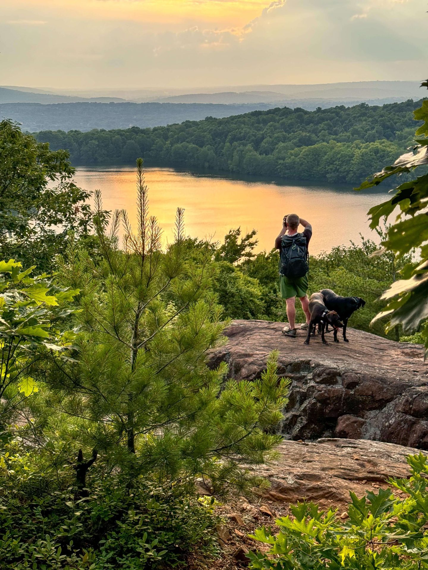 man and dogs on mountain in connecticut for sunset with lake in distance