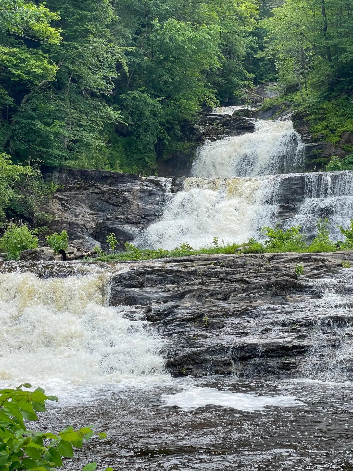 kent falls in summer with green trees all around the waterfall