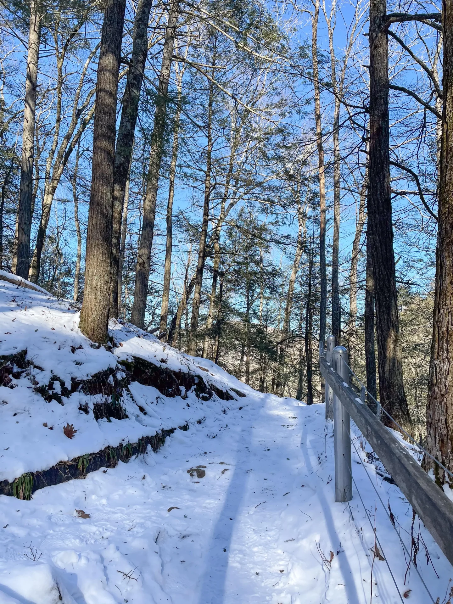 a snow-covered trail leading up to kent falls in winter