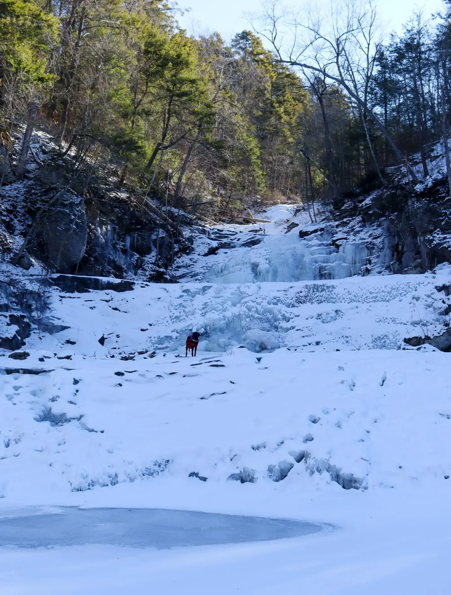 frozen kent falls waterfall in winter with tall pines trees around and blue sky above