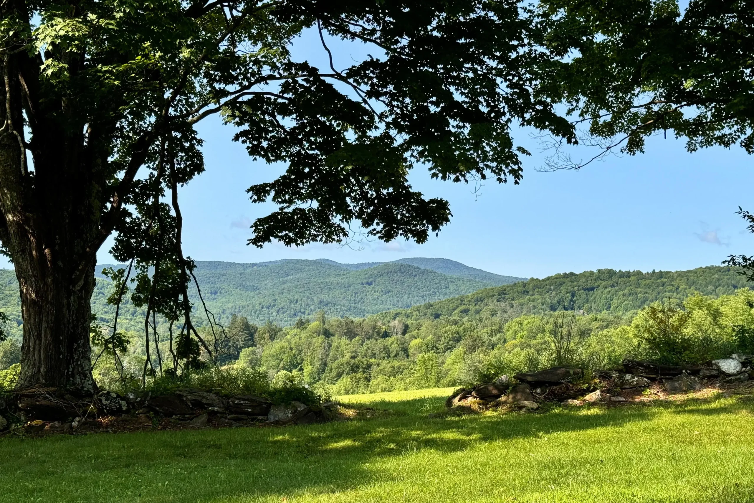 green meadow path at king farm in vermont with green trees