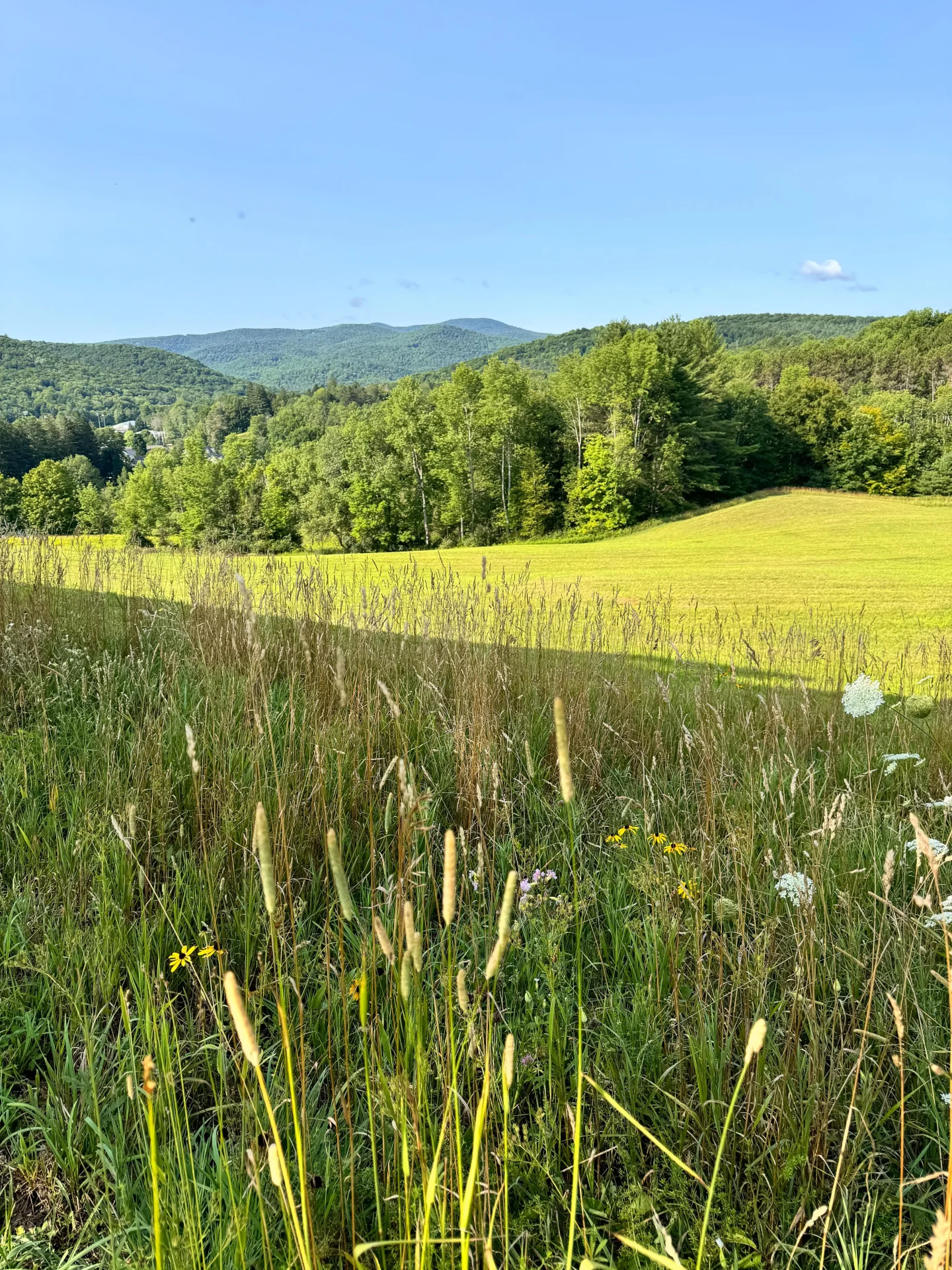 rolling green hills at king farm vermont land trust