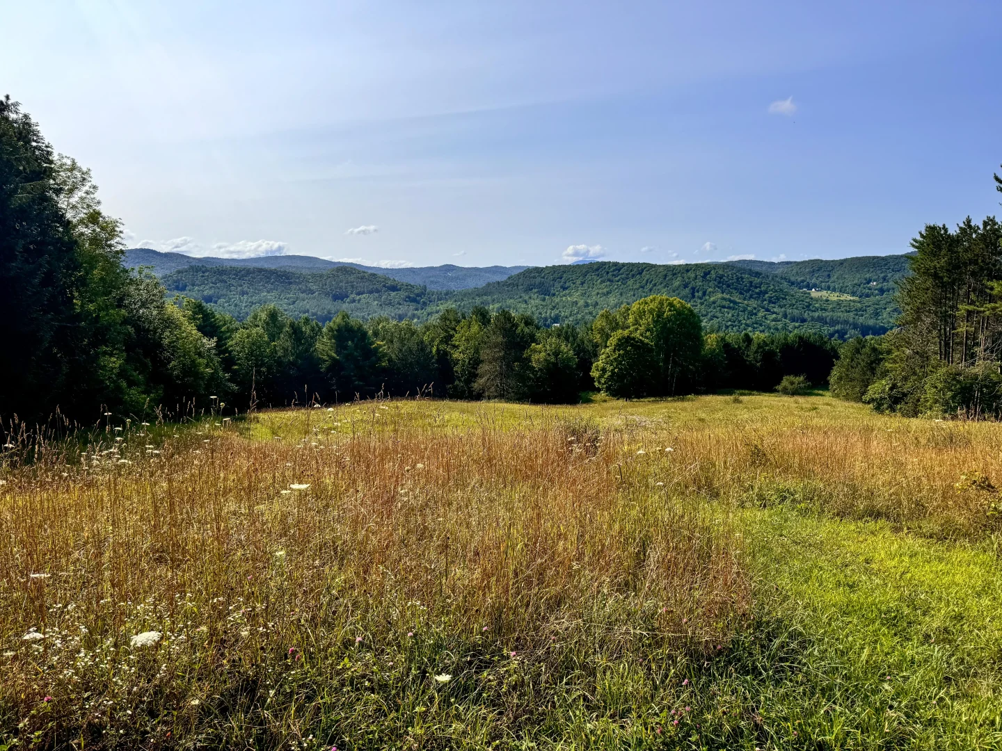 green mountain view from king farm trail in vermont