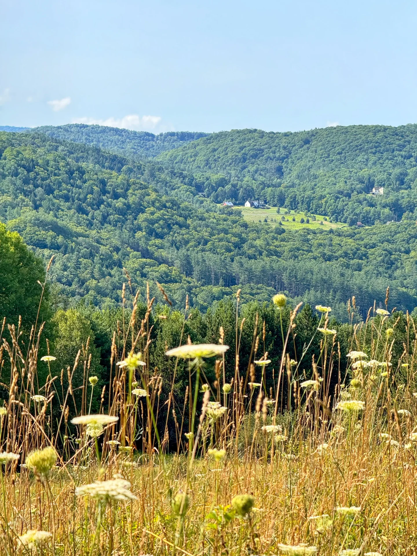 green mountain view from king farm trail in vermont