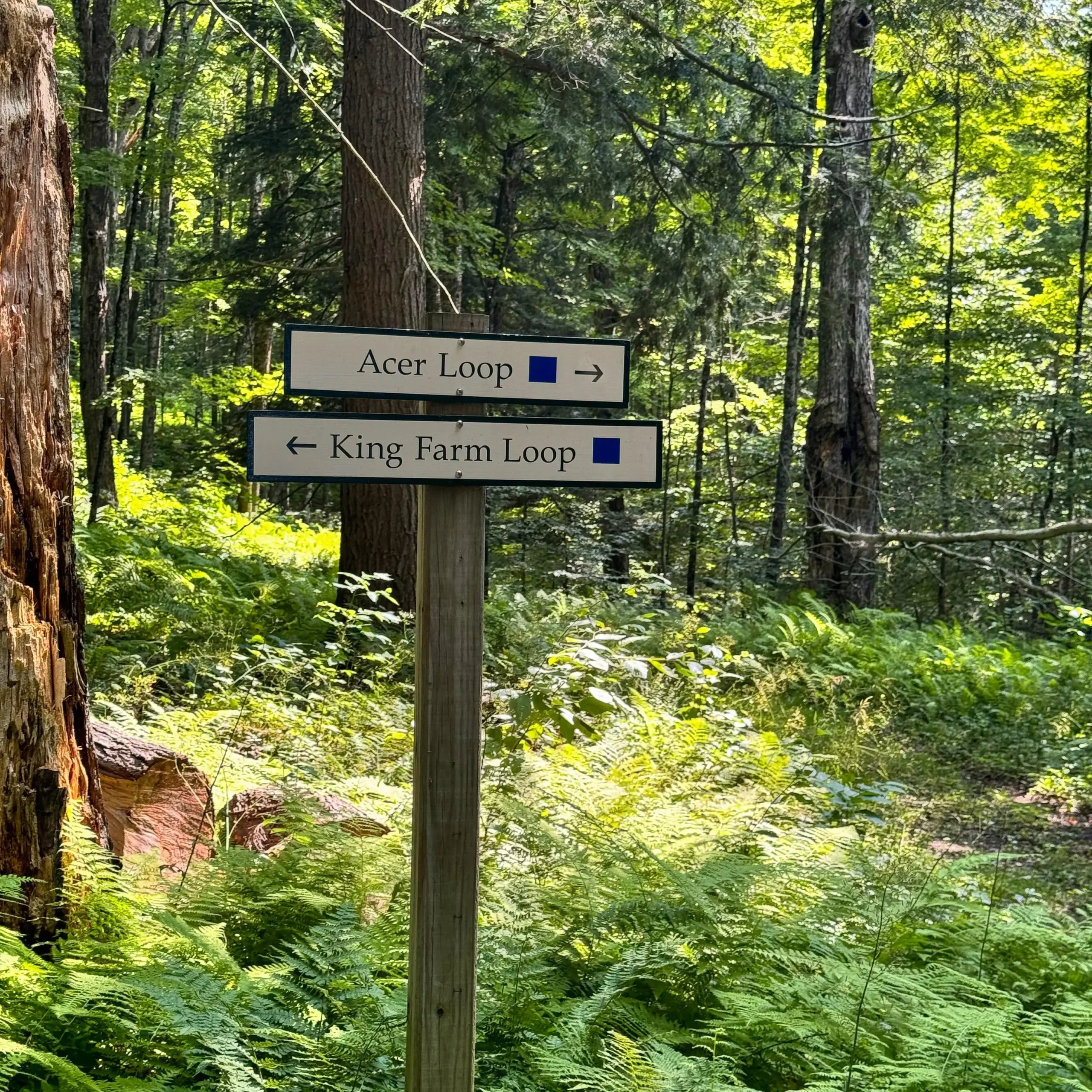 king farm loop trail sign in vermont