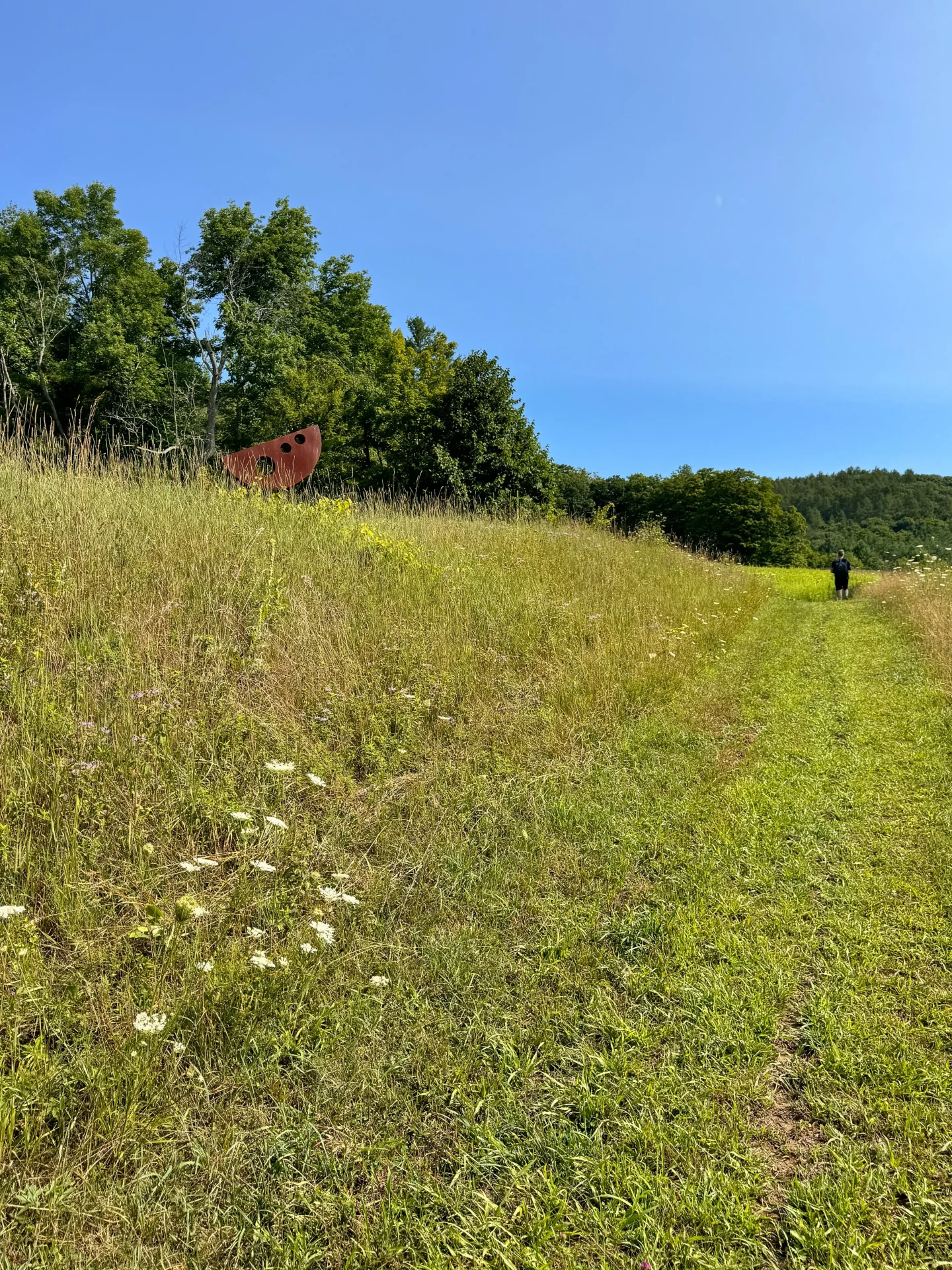 summer trail at king farm in vermont with green trees