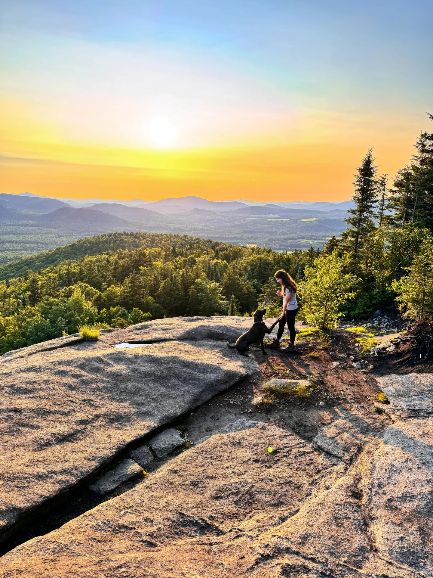 10 Dog-Friendly Hikes with Amazing Views in Lake Placid